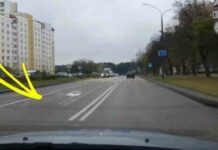 В даі гродно дали детальну схему знаків і розмітки на калиновського