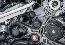 Жалібно, тужливо, настирливо: чому виє гур і що з цим робити?