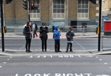 Розуміння переходів “Пелікан”: вичерпне керівництво