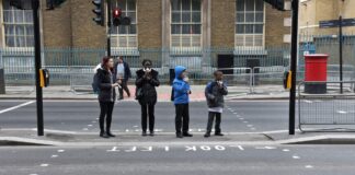 Porozumění pelikánským přechodům: Komplexní průvodce