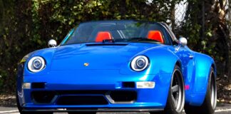 Phoenix Biru