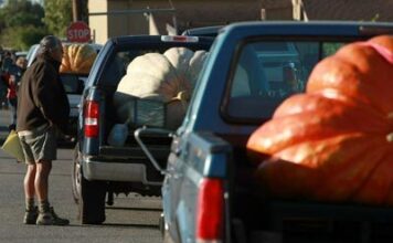 Як розрахувати вантажопідйомність автомобіля, не руйнуючи трансмісію