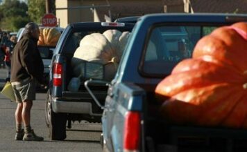 Як розрахувати вантажопідйомність автомобіля та уникнути перевантаження